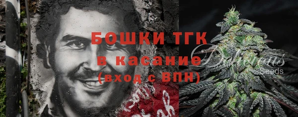 альфа пвп Новодвинск