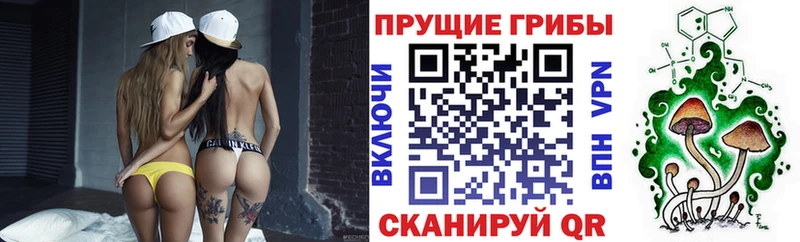 Галлюциногенные грибы GOLDEN TEACHER  Агрыз 